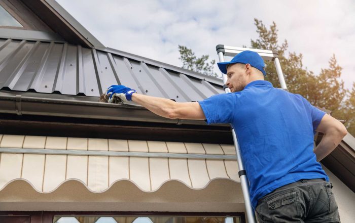 The Ultimate Guide to Cleaning Your Home’s Exterior with Natural Products - Pure GRN